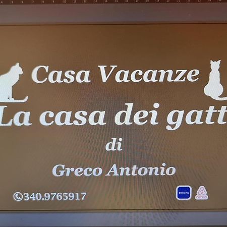 La Casa Dei Gatti Apartment Syracuse Exterior photo